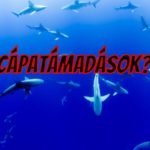 cápatámadások Mauritius