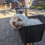 Fárasztó nap rengeteg tanulsággal