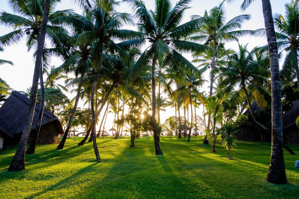 Flic en Flac Beach Mauritius: Az elengedhetetlen útmutató a nyugati part gyöngyszeméhez