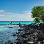 Újra megrendezik a Kitesurf Fesztivált Palmar Beachen: Éld át a kiteszörf izgalmát Mauritiuson!
