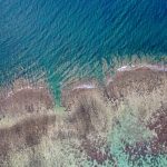 Poste de Flacq Beach, Mauritius: Helyi útmutató a keleti part rejtett gyöngyszeméhez