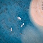 Captain Darwin mauritiusi utazása: ismeretterjesztő programok a látogatók számára