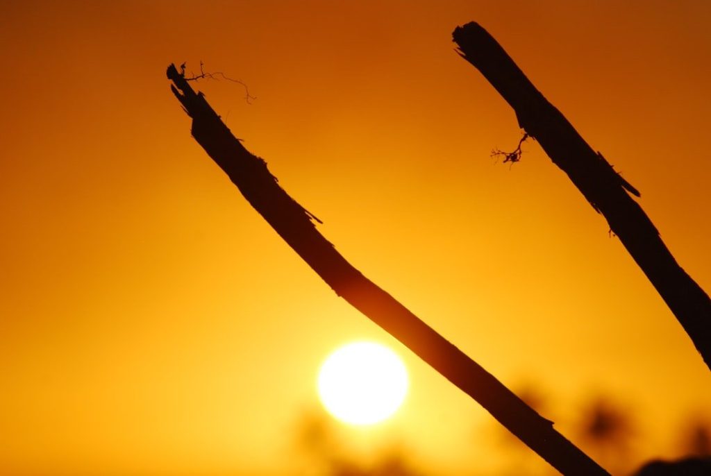 Mauritiuson emelkedik a chikungunya-megbetegedések száma: fontos tanácsok turistáknak a biztonságos utazáshoz