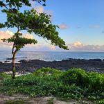 Anahita Trail Run: Jótékonysági esemény Kelet-Mauritiuson