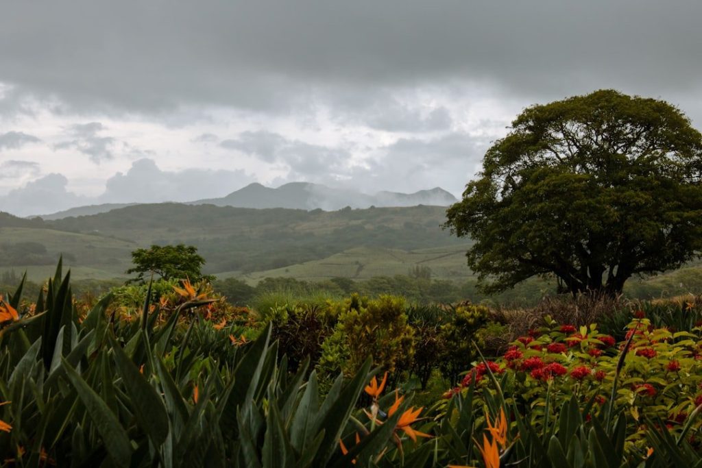 Mai Mauritius időjárás: záporok, erős szél, és hasznos tippek turistáknak