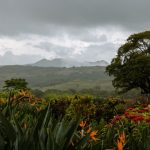 Mai Mauritius időjárás: záporok, erős szél, és hasznos tippek turistáknak