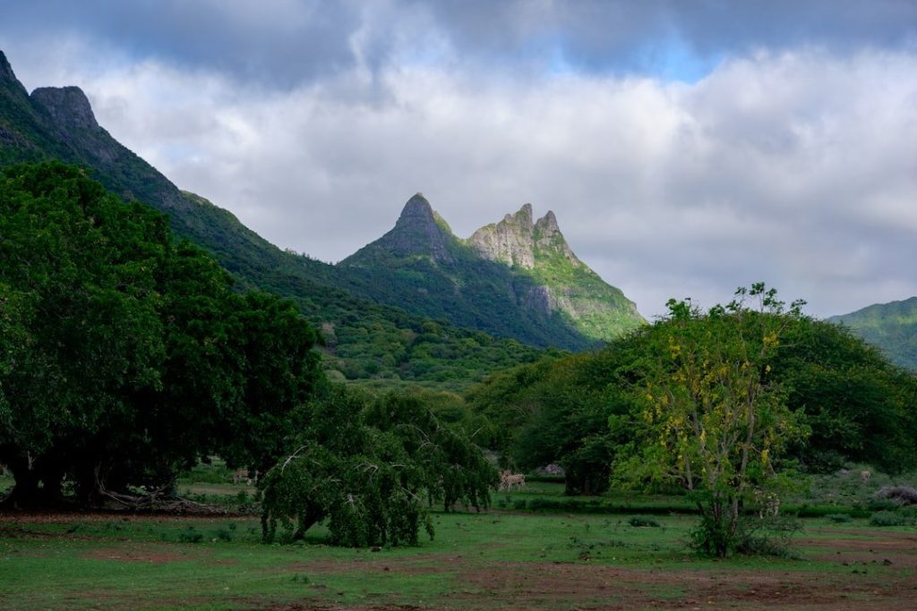 Mauritius időjárása ma: augusztus 25-i előrejelzés, hőmérsékletek és utazási tippek