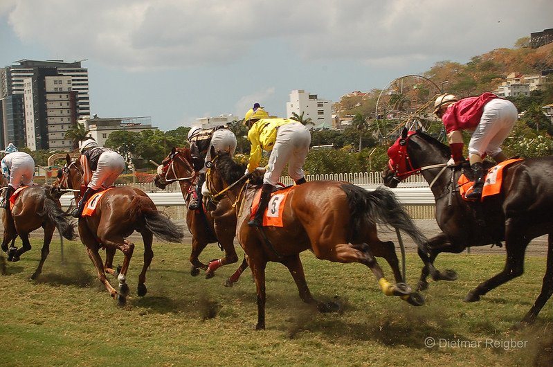 Mauritius lóverseny: szezonfinálé a Champ de Mars-on szeptemberben