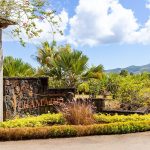 A mauritiusi rum földrajzi árujelző státuszt kapott: mit jelent ez a turisták számára